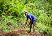 Previous Article