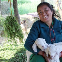 Grassroots Growth: The Self-Help Movement Empowering Women in Nepal