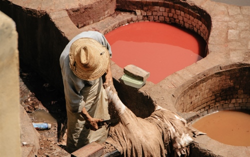 The Missing Piece That Could Transform NZ’s Shoe Industry