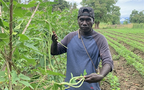 Seed of Change in Solomon Islands