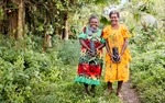 From Seedlings to Carbon Credits: A Milestone for Life & Land Vanuatu