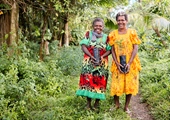 From Seedlings to Carbon Credits: A Milestone for Life & Land Vanuatu