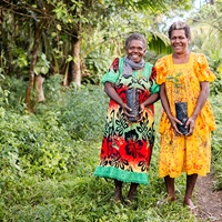 From Seedlings to Carbon Credits: A Milestone for Life & Land Vanuatu
