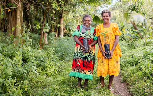 From Seedlings to Carbon Credits: A Milestone for Life and Land, Vanuatu