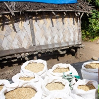How farming and enterprise are fighting slavery in the Asia-Pacific region