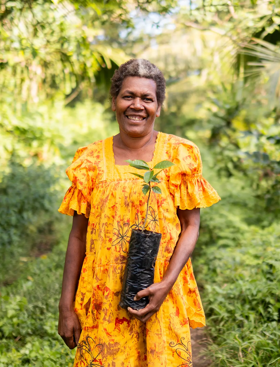 Plant a native tree