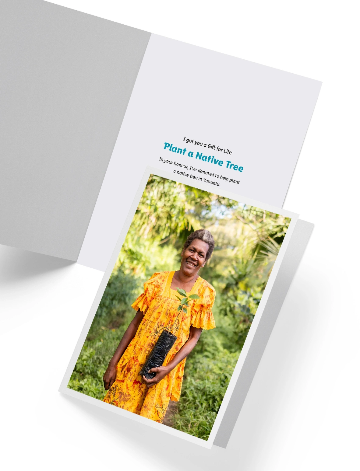 Plant a native tree