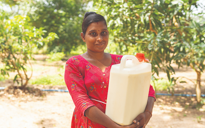 Smallholder farmers are now producing enough milk for their families, with extra to sell. Smallholder farmers are now producing enough milk for their families, with extra to sell.