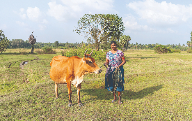 Vulnerable families now have nutrition food, with enough left over to earn an income. Vulnerable families now have nutrition food, with enough left over to earn an income.
