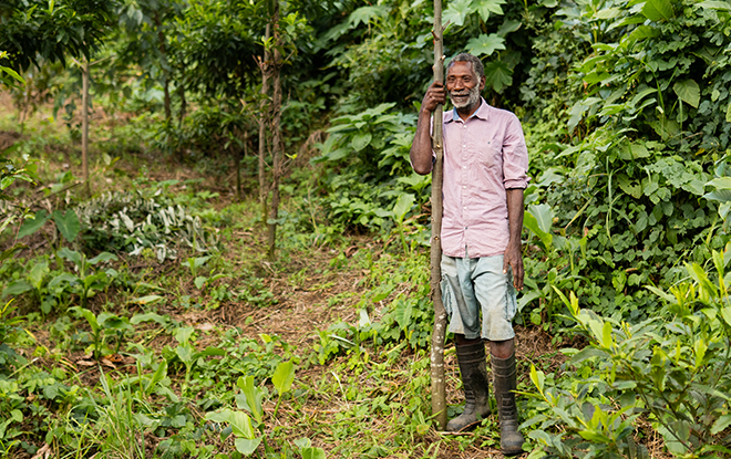 Nako standing with one of the seedlings he planted, now grown